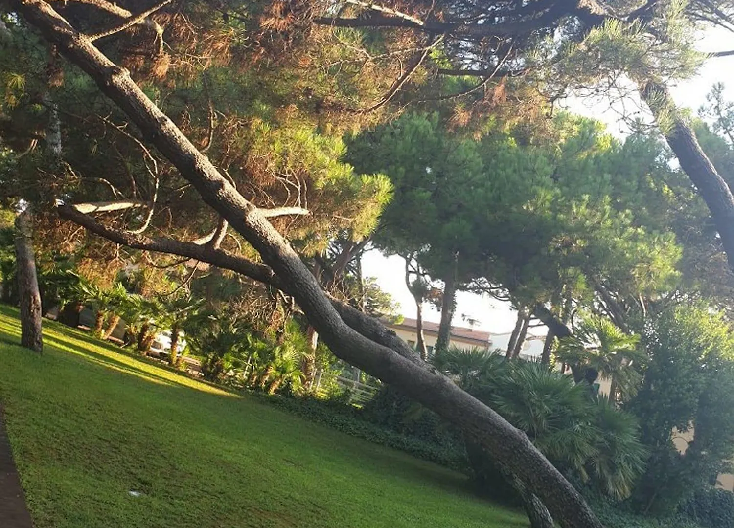 Tombolo Talasso Resort Marina di Castagneto Carducci Italy